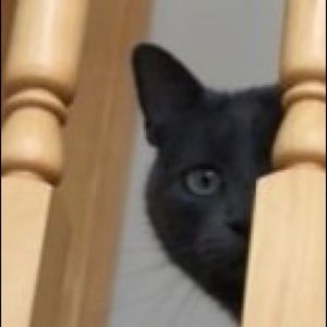 Meet your Posher, Tyler